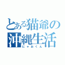 とある猫爺の沖縄生活（にゃおくん）