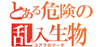 とある危険の乱入生物（コアラのマーチ）