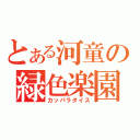 とある河童の緑色楽園（カッパラダイス）