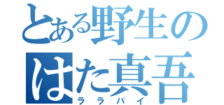 とある野生のはた真吾☆（ララバイ）