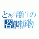 とある蕭白の苔龍植物（コケショクブツ）