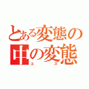 とある変態の中の変態紳士（ユズ）