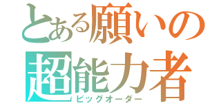 とある願いの超能力者（ビッグオーダー）