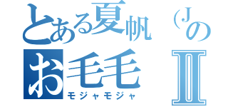 とある夏帆（ＪＩＭＮ７）のお毛毛Ⅱ（モジャモジャ）