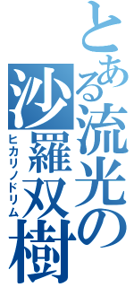 とある流光の沙羅双樹（ヒカリノドリム）