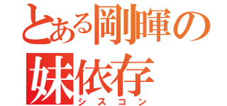 とある剛暉の妹依存（シスコン）