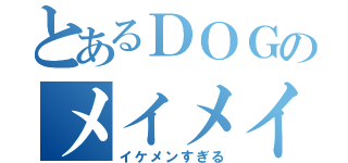 とあるＤＯＧのメイメイ（イケメンすぎる）