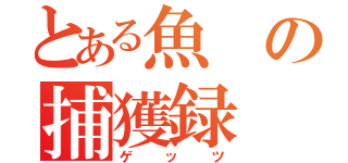 とある魚の捕獲録（ゲッツ）