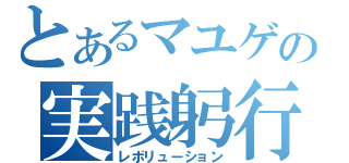 とあるマユゲの実践躬行（レボリューション）