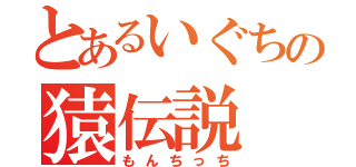 とあるいぐちの猿伝説（もんちっち）