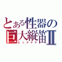 とある性器の巨大縦笛Ⅱ（ビックマラ）