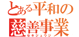 とある平和の慈善事業（セキジュウジ）