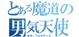 とある魔道の男気天使（ルカ・フォルティス）