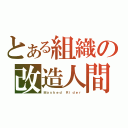 とある組織の改造人間（Ｍａｓｋｅｄ Ｒｉｄｅｒ）