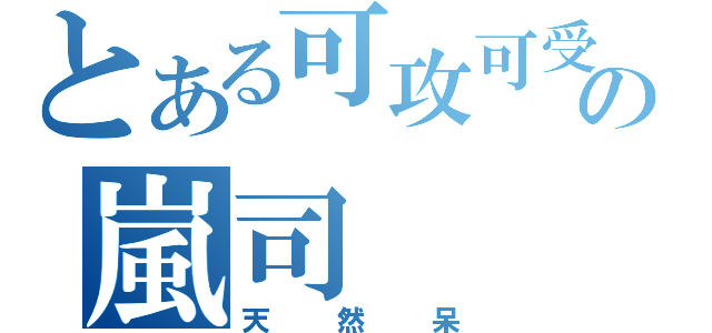 とある可攻可受の嵐司（天然呆）