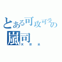 とある可攻可受の嵐司（天然呆）