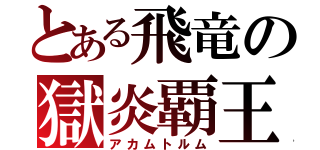 とある飛竜の獄炎覇王（アカムトルム）