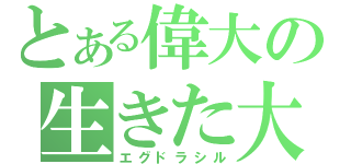 とある偉大の生きた大陸（エグドラシル）