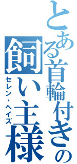 とある首輪付きの飼い主様（セレン・ヘイズ）