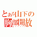 とある山下の胸部開放（ピーーーー）