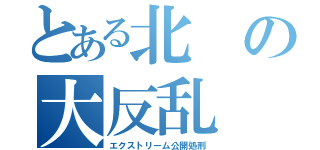 とある北の大反乱（エクストリーム公開処刑）