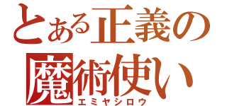 とある正義の魔術使い（エミヤシロウ）