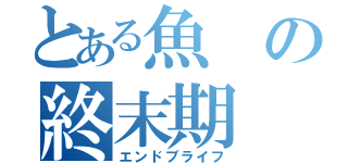 とある魚の終末期（エンドブライフ）