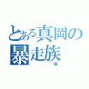 とある真岡の暴走族（     嵐）