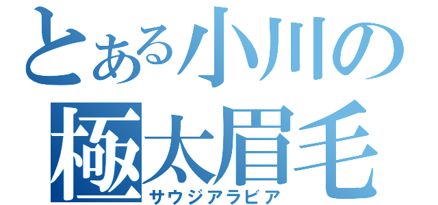 とある小川の極太眉毛（サウジアラビア）