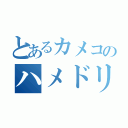 とあるカメコのハメドリ目録（）