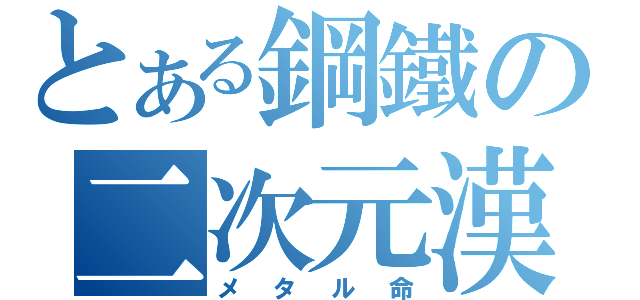 とある鋼鐵の二次元漢（メタル命）