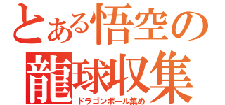 とある悟空の龍球収集（ドラゴンボール集め）