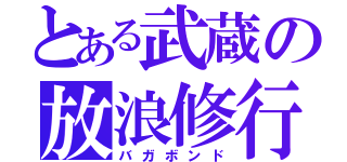 とある武蔵の放浪修行（バガボンド）