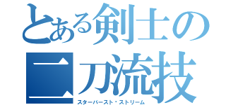 とある剣士の二刀流技（スターバースト·ストリーム）