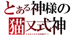 とある神様の猫又式神（こんな二人で大丈夫か？←）