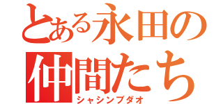 とある永田の仲間たち（シャシンブダオ）