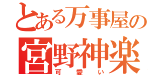 とある万事屋の宮野神楽ネ（可愛い）