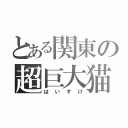 とある関東の超巨大猫（はいすけ）