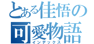 とある佳悟の可愛物語（インデックス）