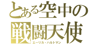 とある空中の戦闘天使（エーリカ・ハルトマン）