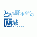 とある野生息状況の広域（モニタリング）