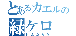 とあるカエルの緑ケロ（けんたろう）