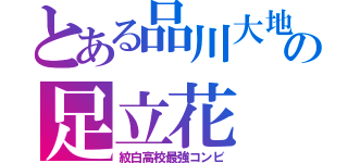 とある品川大地の足立花（紋白高校最強コンビ）