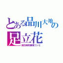 とある品川大地の足立花（紋白高校最強コンビ）