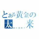 とある黄金の太陽帰来（暗の夜明け）