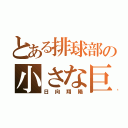 とある排球部の小さな巨人（日向翔陽）