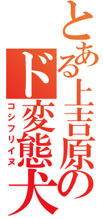 とある上吉原のド変態犬（コシフリイヌ）