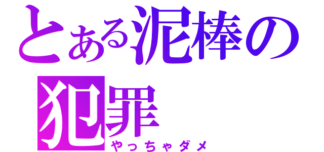 とある泥棒の犯罪（やっちゃダメ）