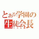 とある学園の生徒会長（くりむ様）