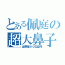 とある佩庭の超大鼻子（超華麗９０度旋轉）